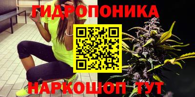 соль ск Анжеро-Судженск