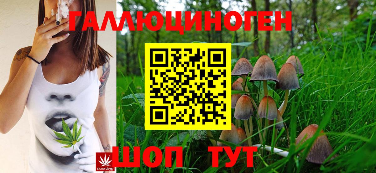 Избербаш  купить   Галлюциногенные грибы Cubensis  Вход с VPN  Галлюциногенные грибы MAGIC MUSHROOMS 