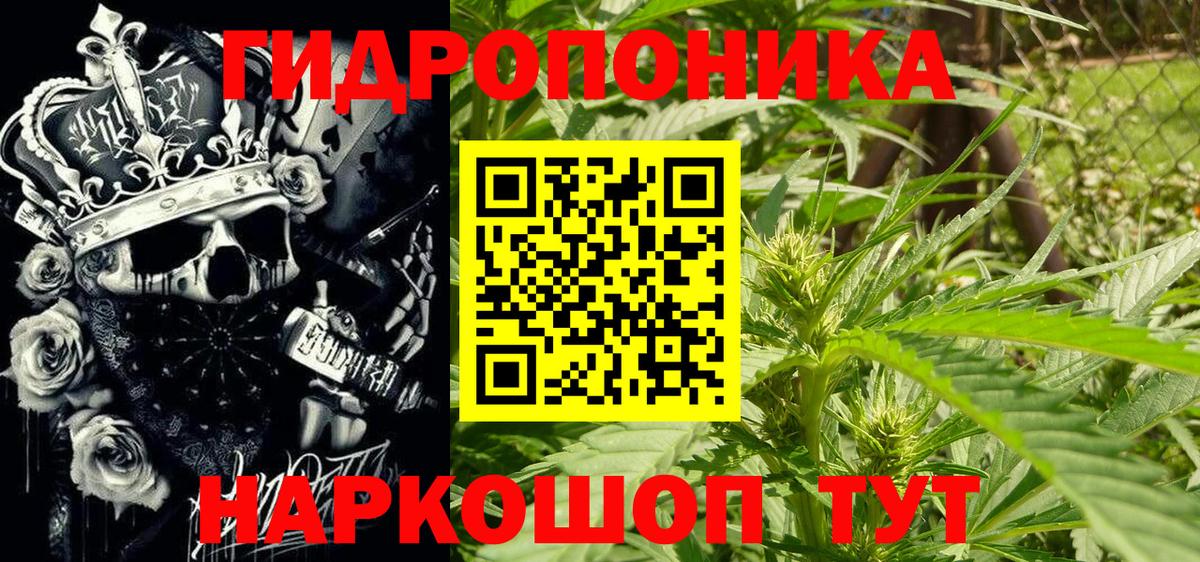 Шишки марихуана LSD WEED  Бошки марихуана семена  Канабис OG Kush  МАРИХУАНА гибрид  Избербаш  Вход с VPN 